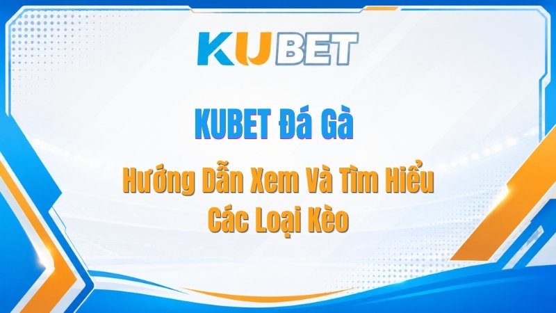 KUBET Đá Gà – Hướng Dẫn Xem Và Tìm Hiểu Các Loại Kèo